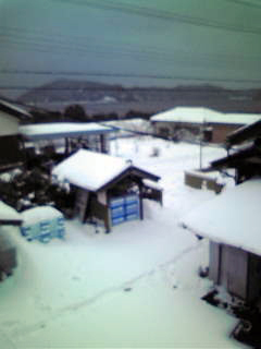 2011年雪の日